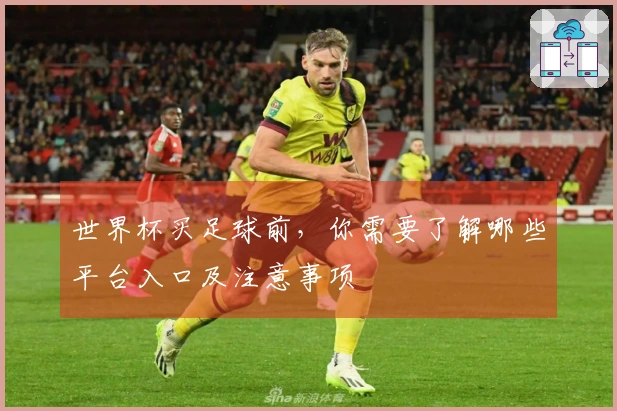世界杯买足球前，你需要了解哪些平台入口及注意事项